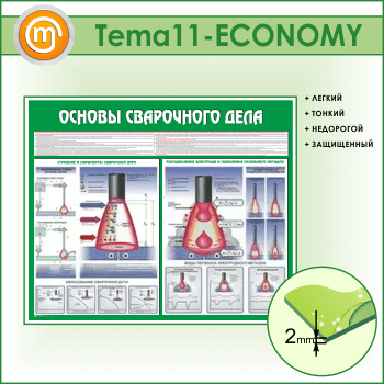 ����� ������� ���������� ���� (TM-11-ECONOMY)