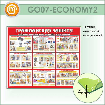 ����� ������������ ������ (GO-07-ECONOMY2)