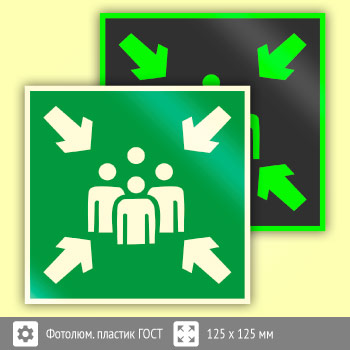 Знак E21 «Пункт (место) сбора» (фотолюминесцентный пластик ГОСТ 34428-2018, 125х125 мм)