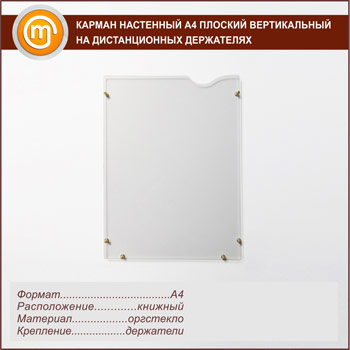 Карман настенный А4 плоский вертикальный на дистанционных держателях