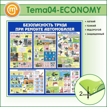 ����� ������������� ����� ��� ������� ����������� (TM-04-ECONOMY)