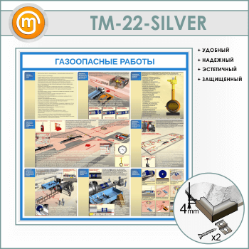 ����� ������������ ������� (TM-22-SILVER)
