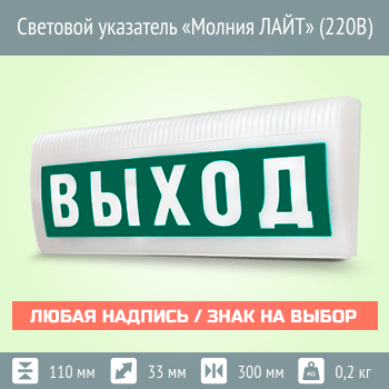 Световой указатель Молния ЛАЙТ (220В)