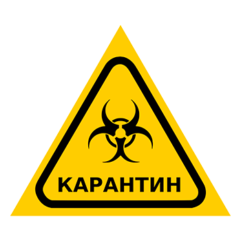 Знак «Карантин», Q13.6 (пленка, сторона 200 мм)