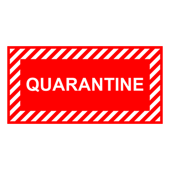 ���� ����������, Q12.4 (������, 300�150 ��)