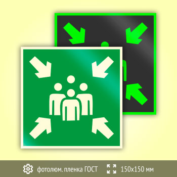 Знак E21 «Пункт (место) сбора» (фотолюминесцентная пленка ГОСТ 34428-2018, 150х150 мм)