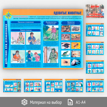 ������� ��������� ��� ����������� ��������� ���������� (��-13, 10 ������)