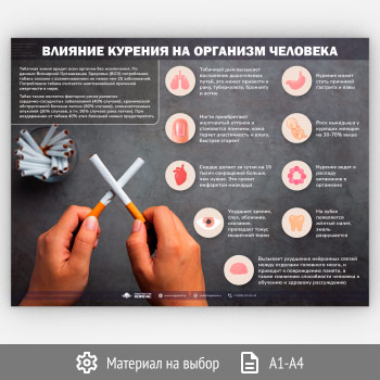 Плакат «Факты о вреде курения» (М-127, 1 лист)