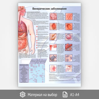 Плакат «Венерические заболевания» (ЗОЖ-06, 1 лист)