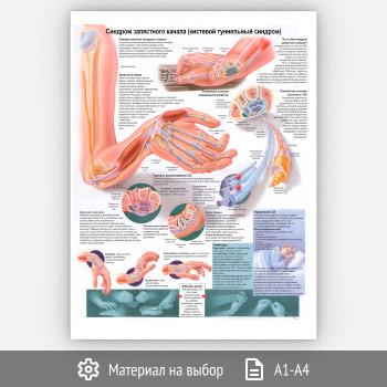 ������ �������� ���������� ������ (�������� ���������� �������)� (���-24, 1 ����)