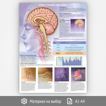 ������ ������������� ��� (���-30, 1 ����)