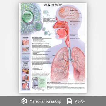 Плакат «Что такое грипп?» (ЗОЖ-41, 1 лист)