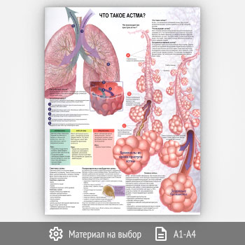 ������ ���� ����� �����?� (���-48, 1 ����)