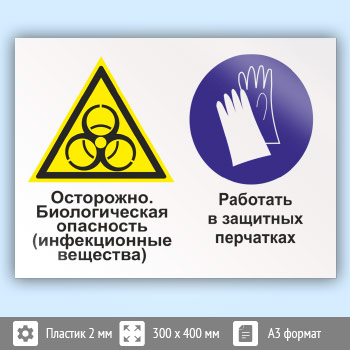 ���� ���������� - ������������� ��������� (������������ ��������). �������� � �������� ����������, ��-52 (�������, 400�300 ��)